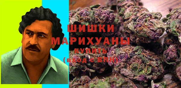 гашик Бородино