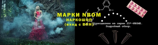 гашик Бородино